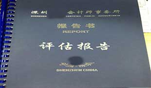 报告书