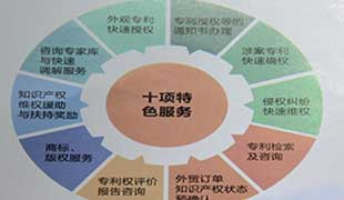 十项特殊服务