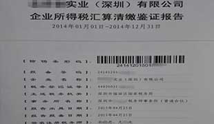 汇算清缴报告