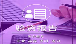 验资报告2
